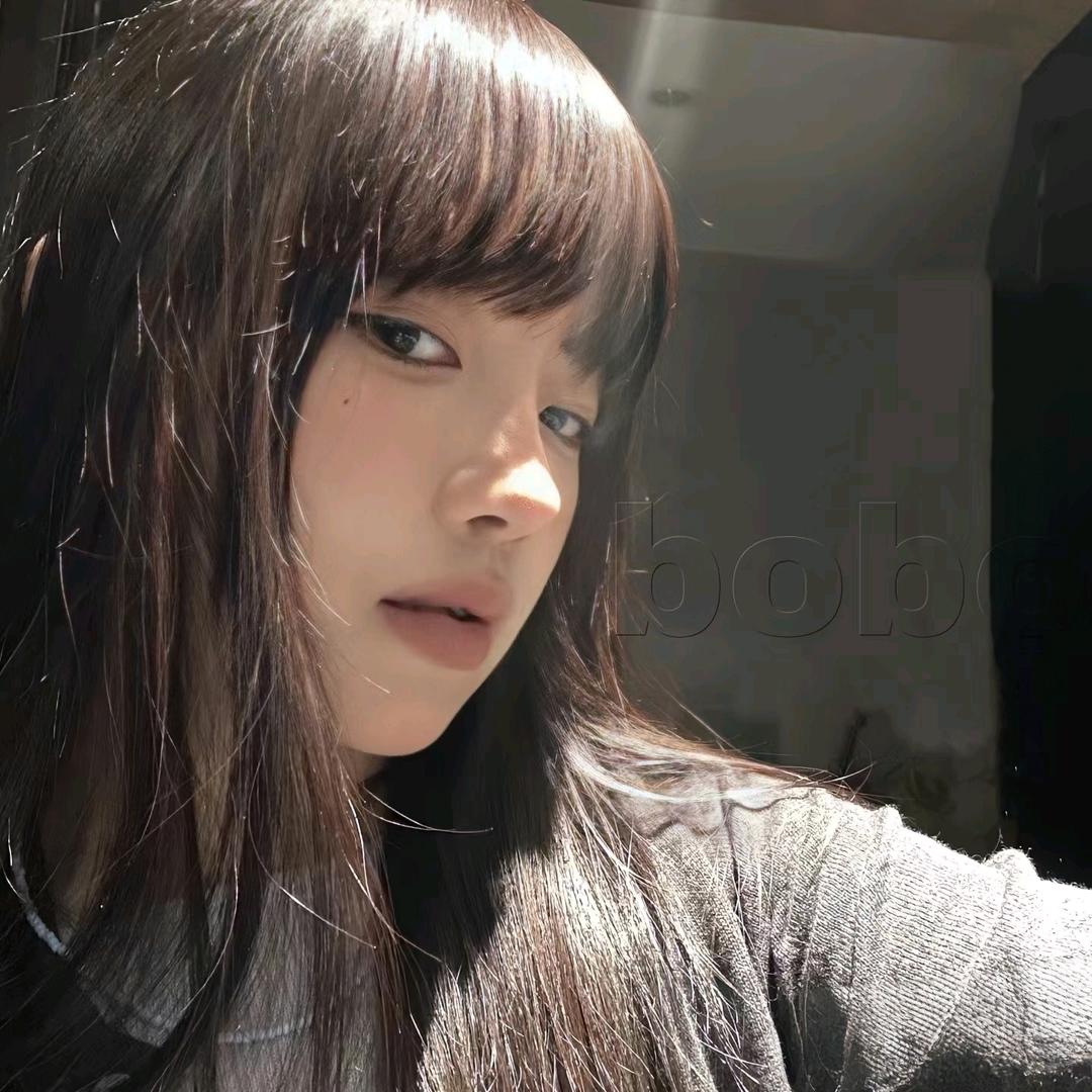 加菲猫本猫