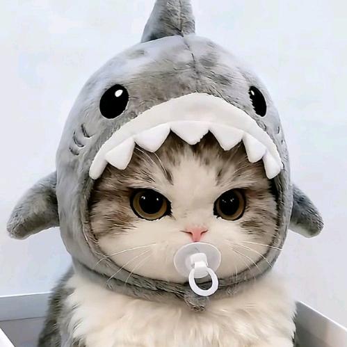 颂磊