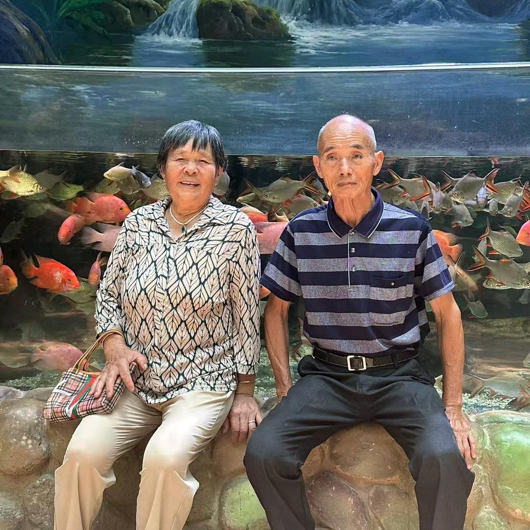 张凤娇