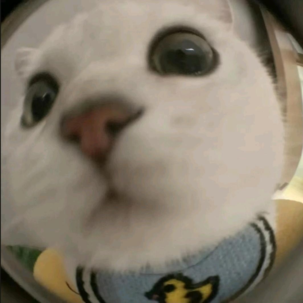 橄橄橄榄