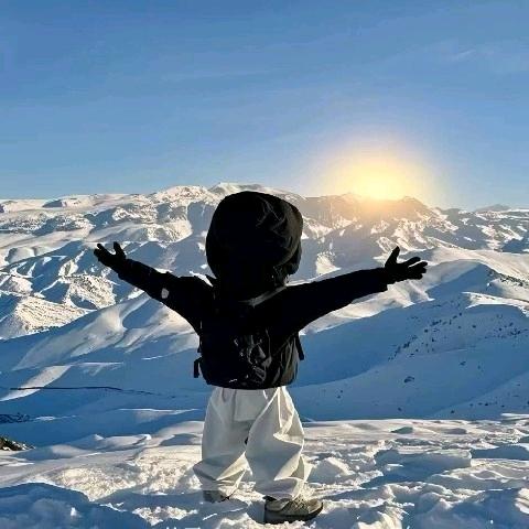 初遇资料分享号