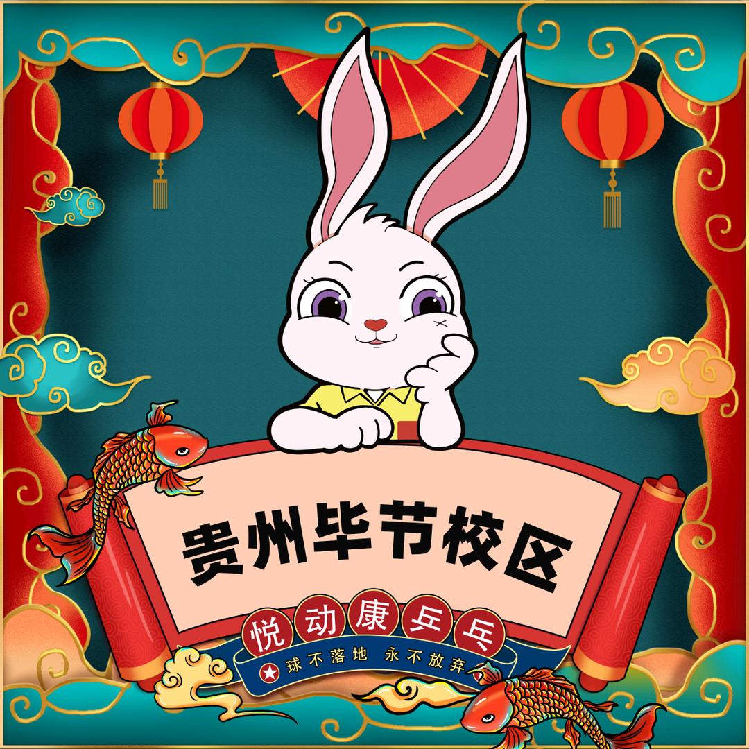 悦动康乒乓(毕节店)