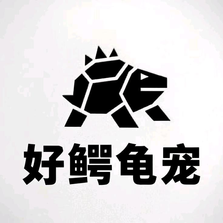 好鳄龟宠  阿凡