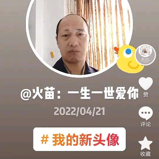 春天哥