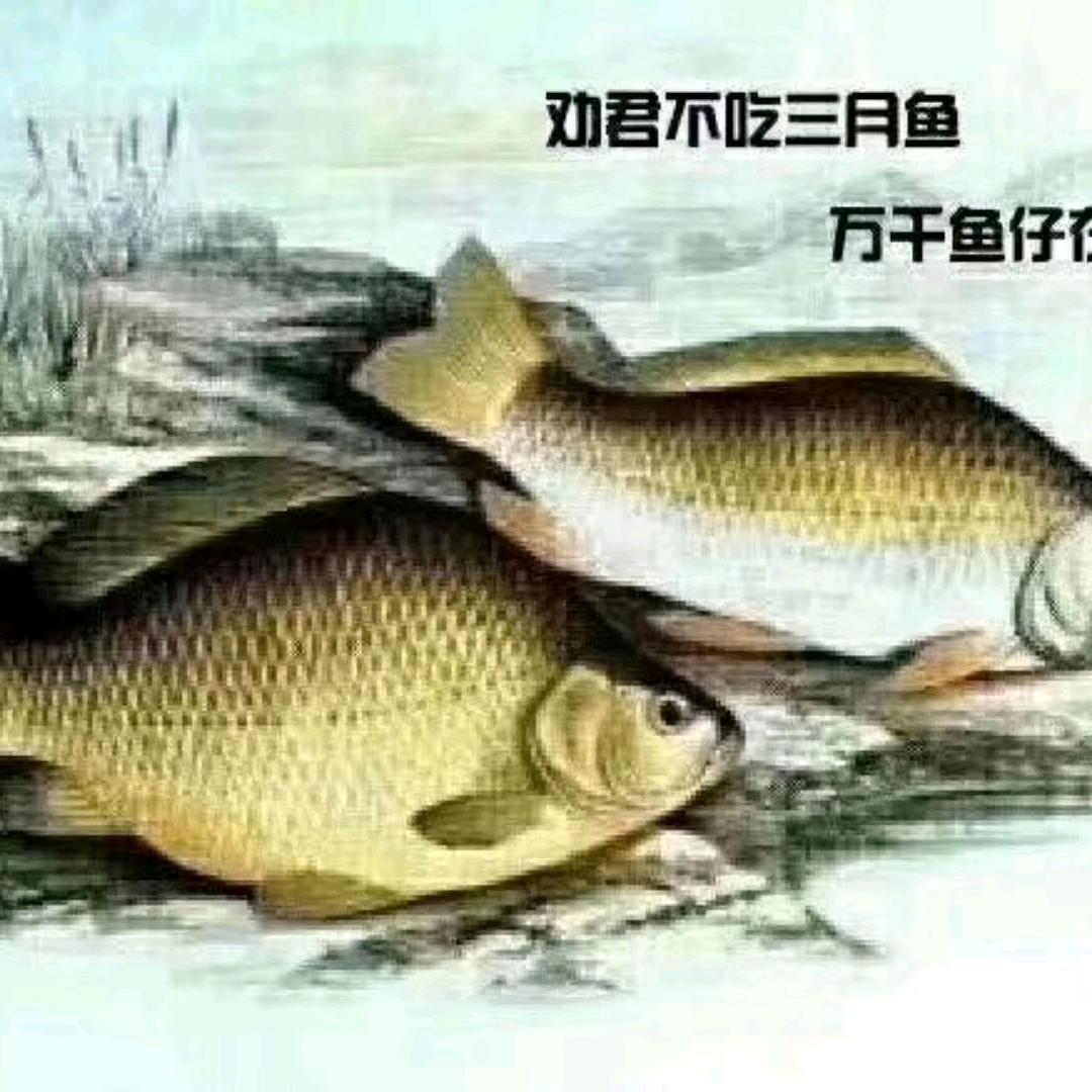 与酒无缘—布衣