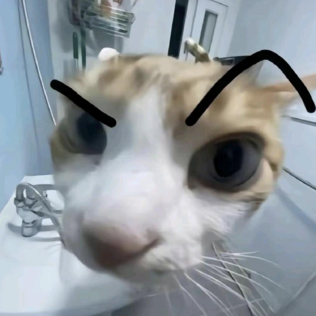AAA花开富贵