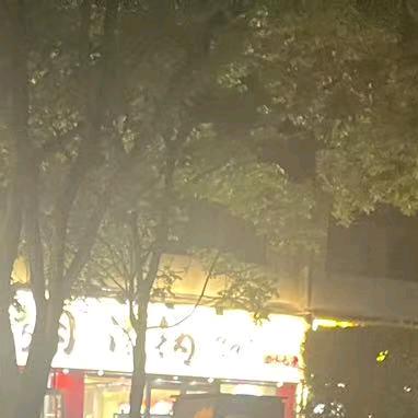 呆头鹅