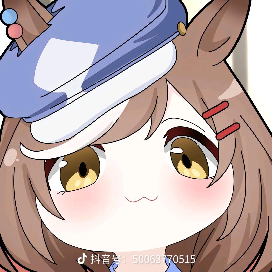 一架正在坠毁的A320