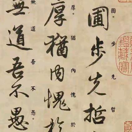 纳瓦罗