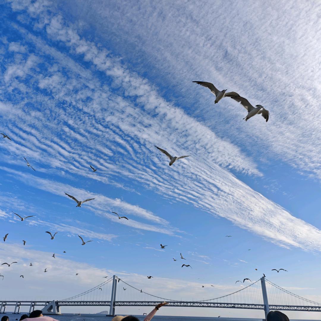 六六三一(5.2太湖湾活该现场合唱选手）