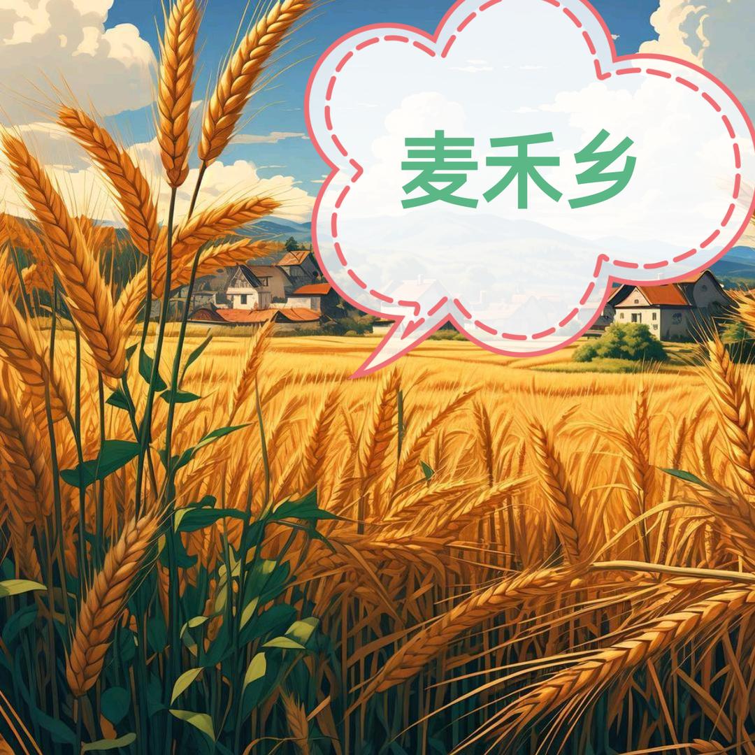 麦禾乡手擀面