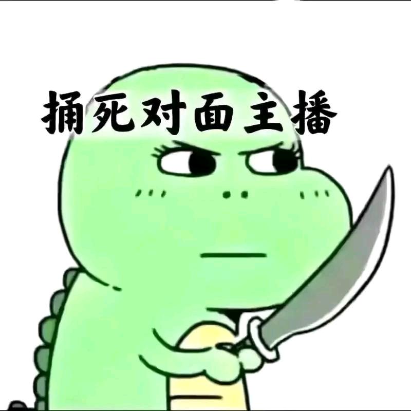 吃饭睡觉揍主播