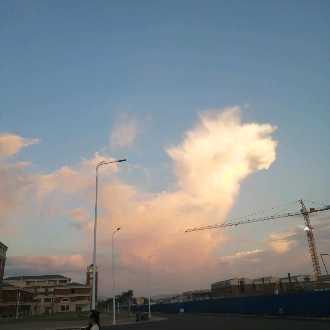 戴小白