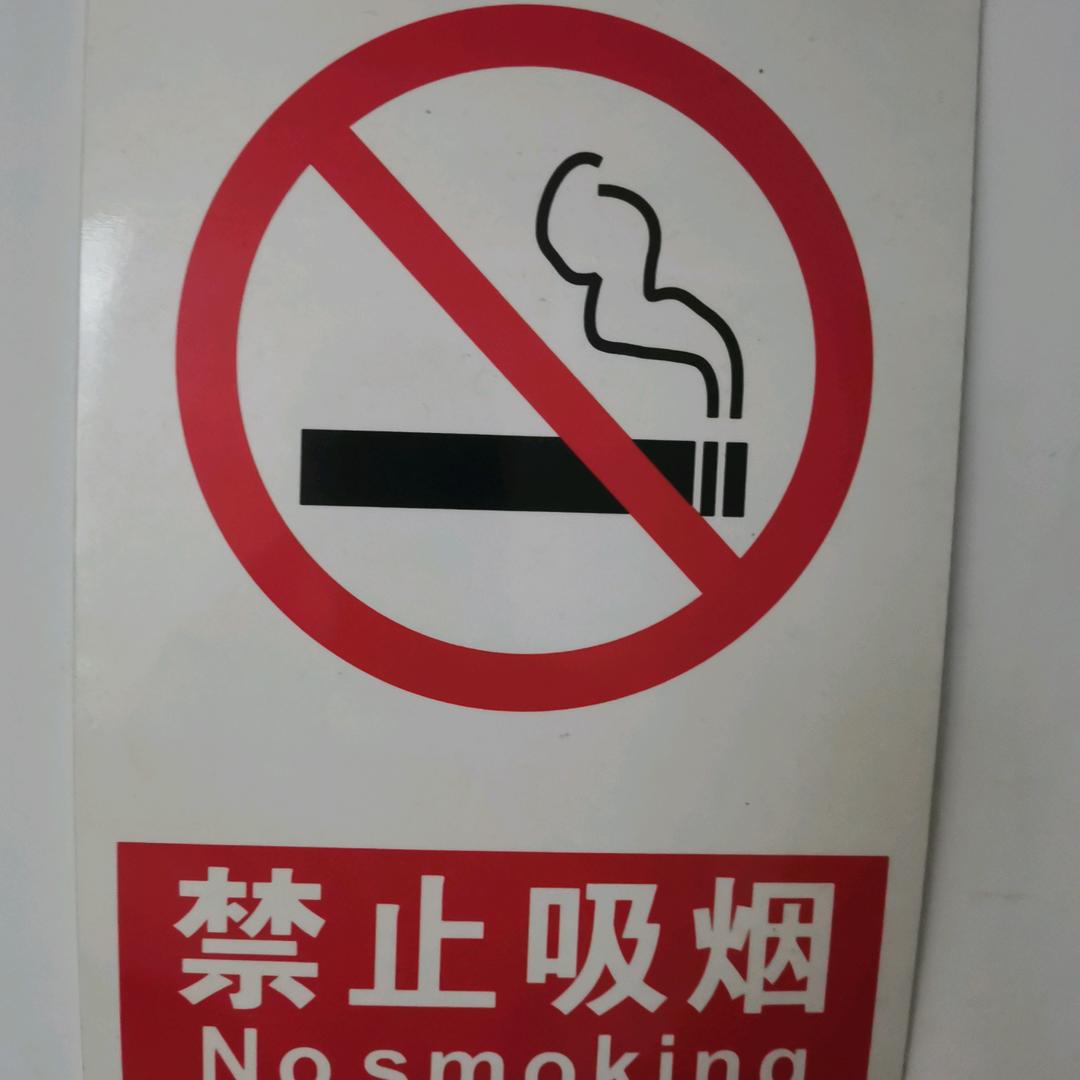 🌞生煎大排