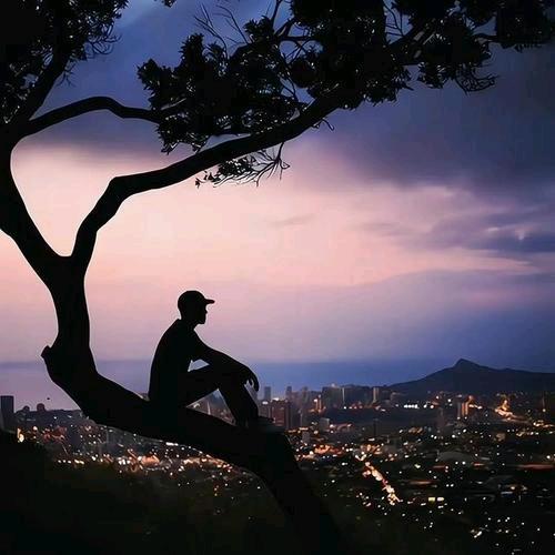 高冷王子、小号下午5点左右