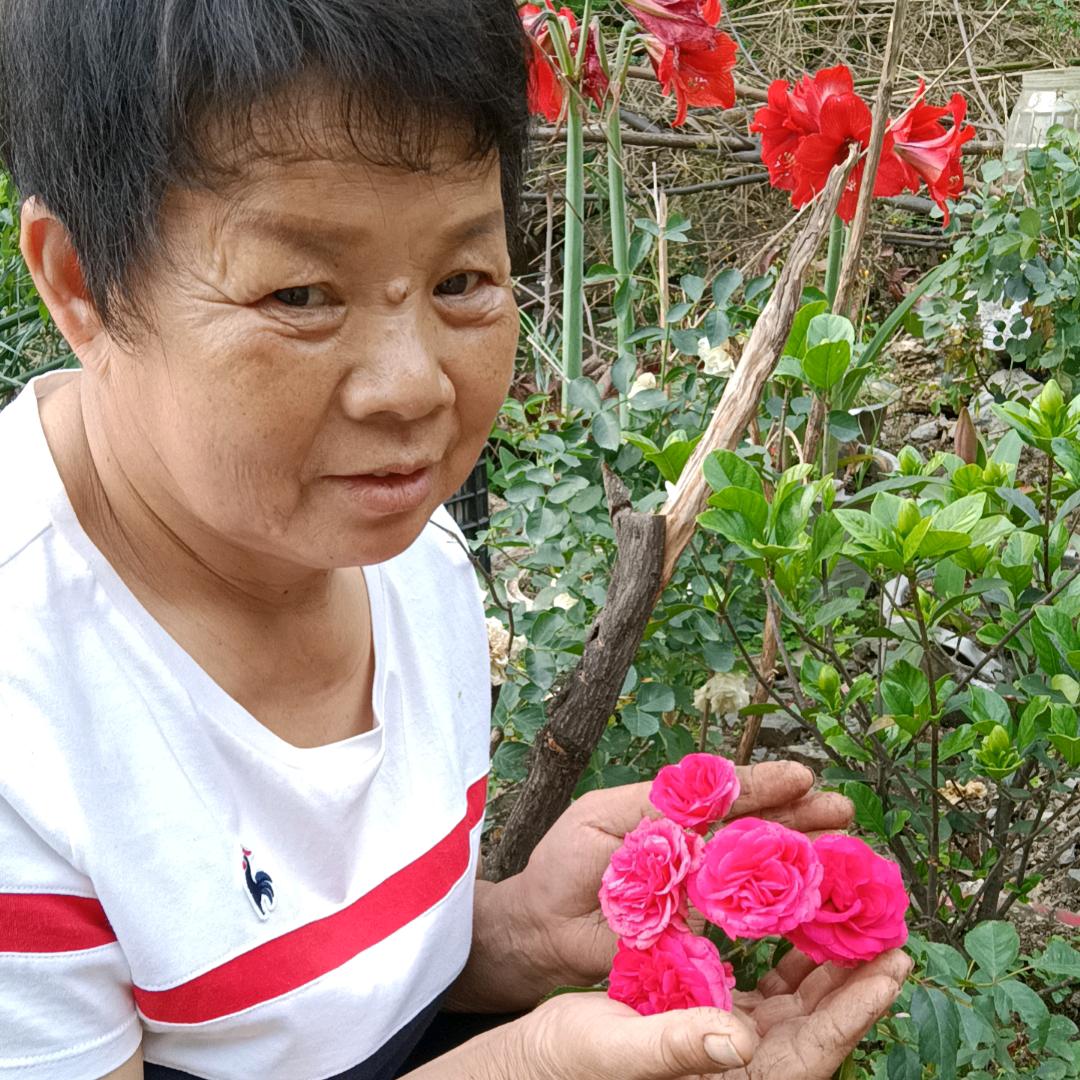 芬.