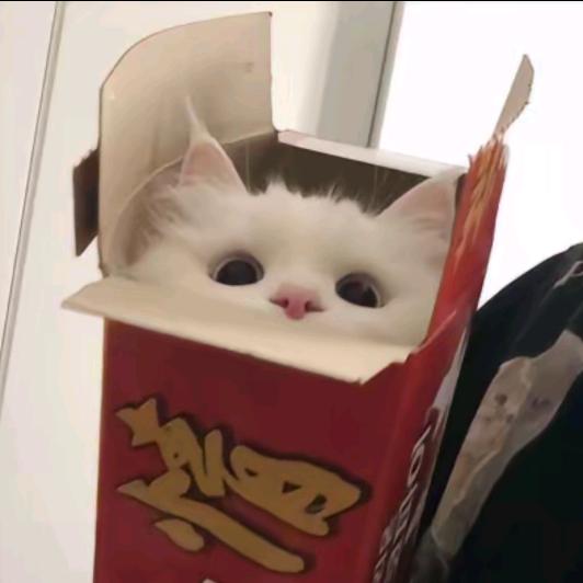 小灰灰