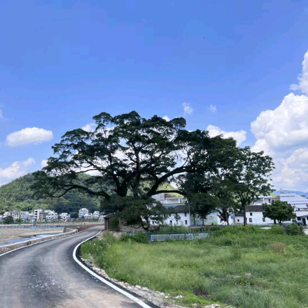 ☀️🌈郑是小亮哥🌈☀️