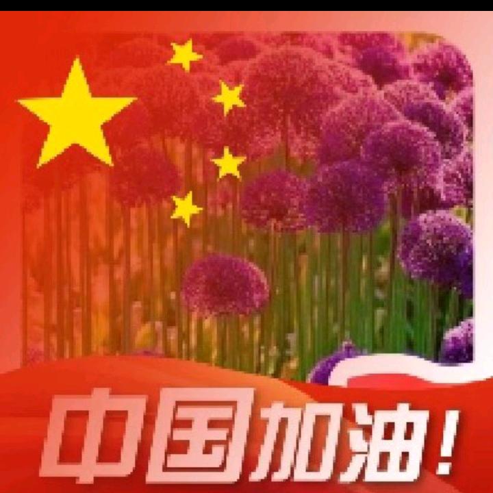 不顾一切爱你每一天