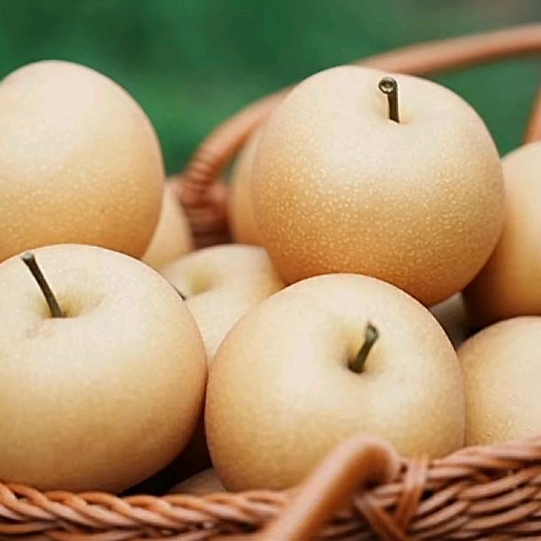 丰泰农场秋月梨·秋梨膏