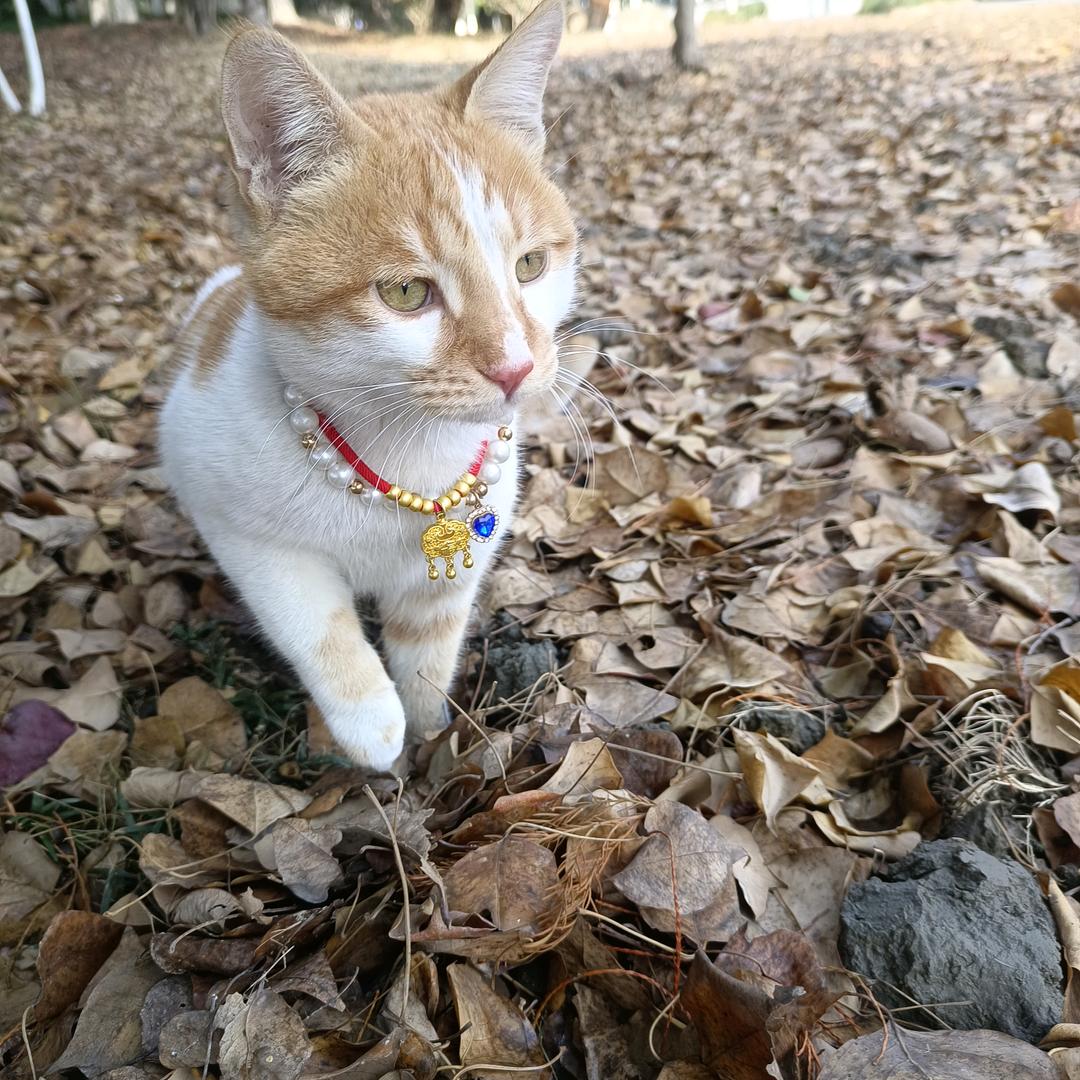 繁星点点