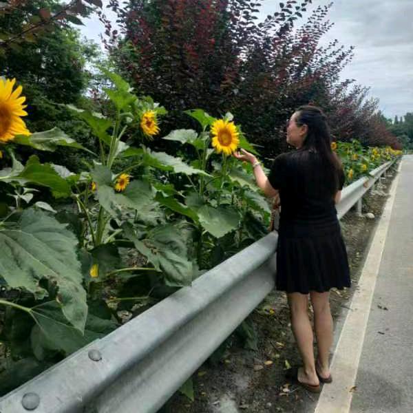 心如止水寒若冰霜