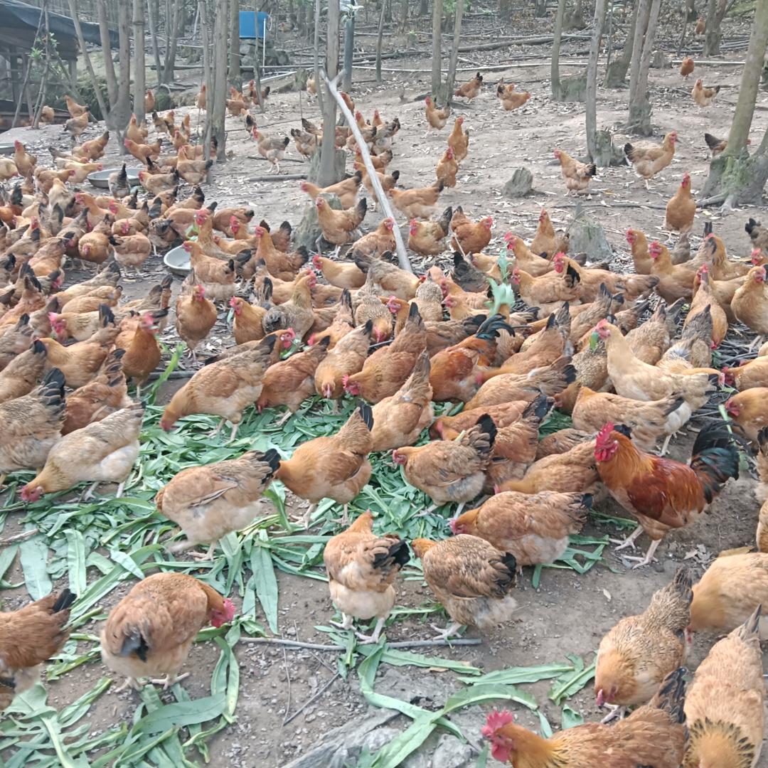 ꧁ℳঞ来自 ꦿ地狱 ໌້ᮨ꧔ꦿ᭄꧂