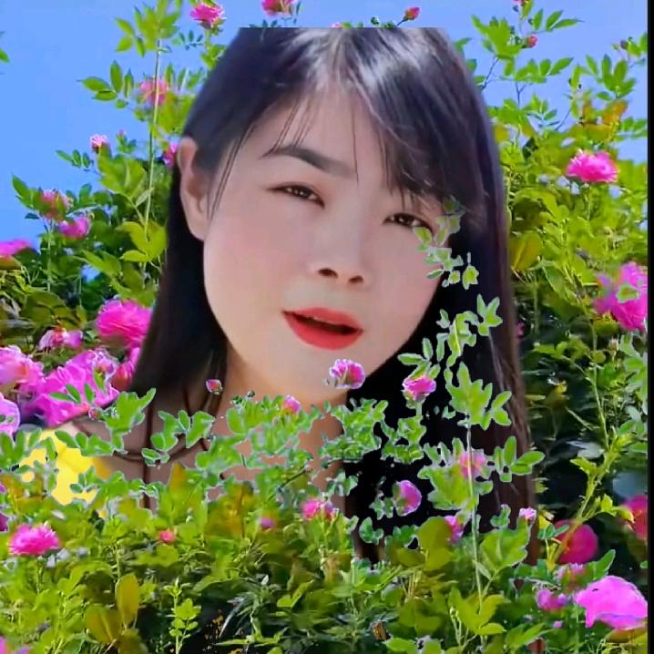 我的一生已赌在你身上。