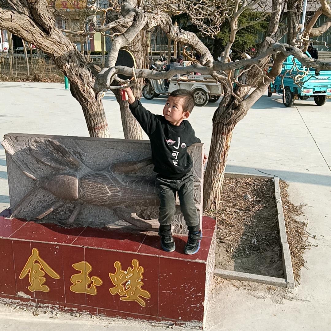 冯楼李记烧饼哥