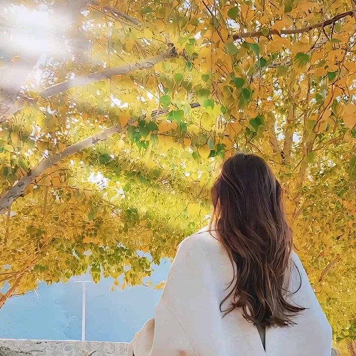 心静如水