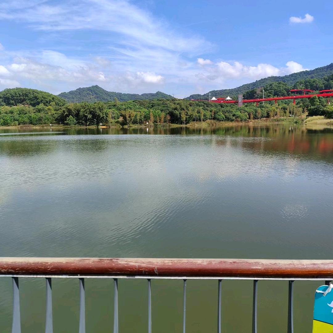 🍀⁶⁰¹未来不是梦