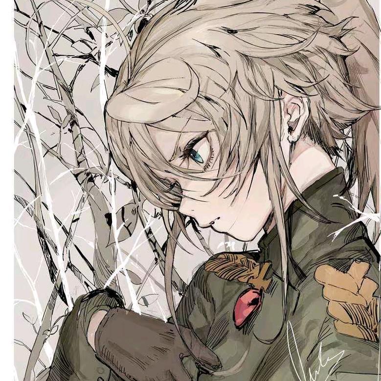 安安不是夏安安