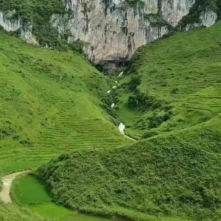 🌸不要迷恋哥🌸