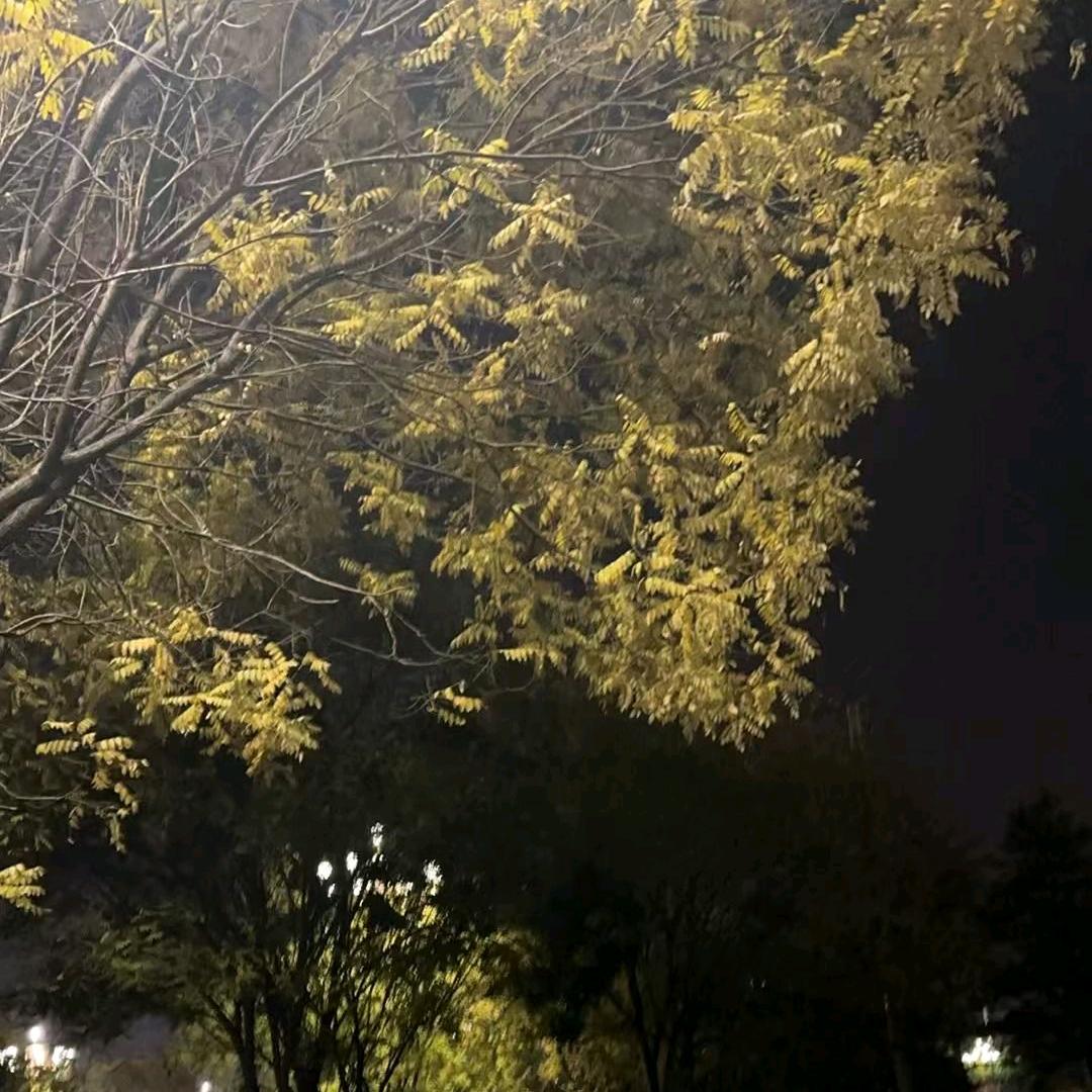 冬雨