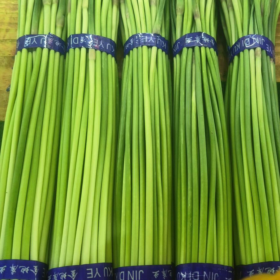 金地冷库精品蒜薹加工厂小琴