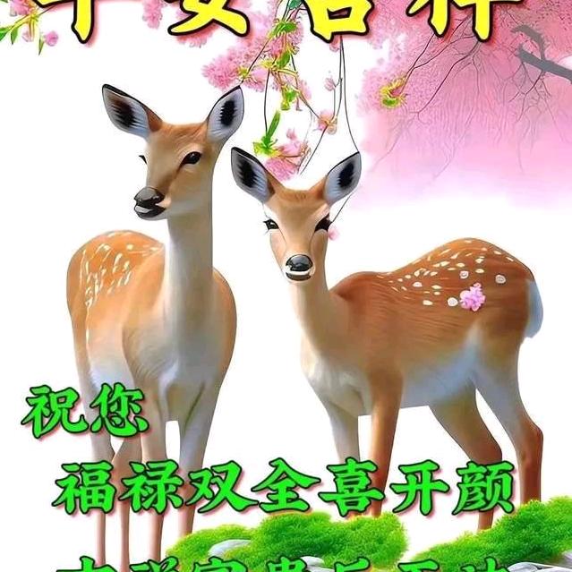 流年如歌