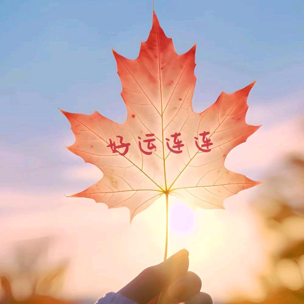好运连连