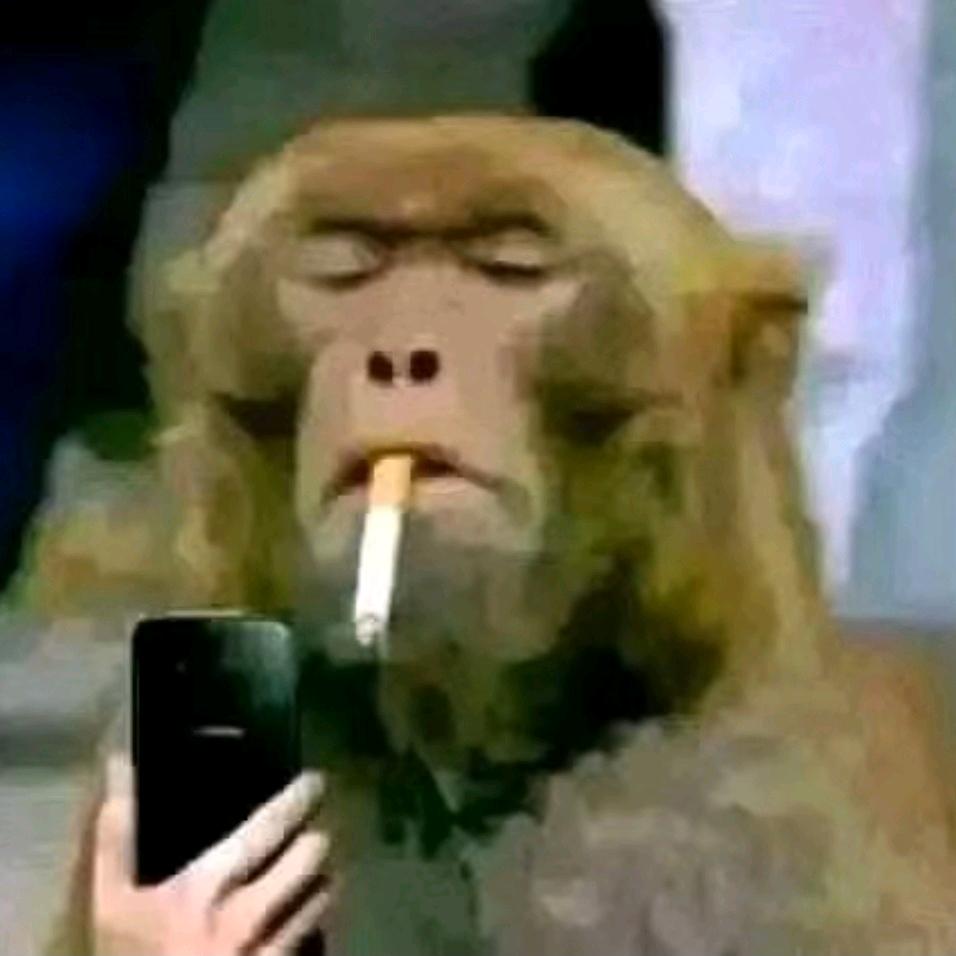 Monkey king