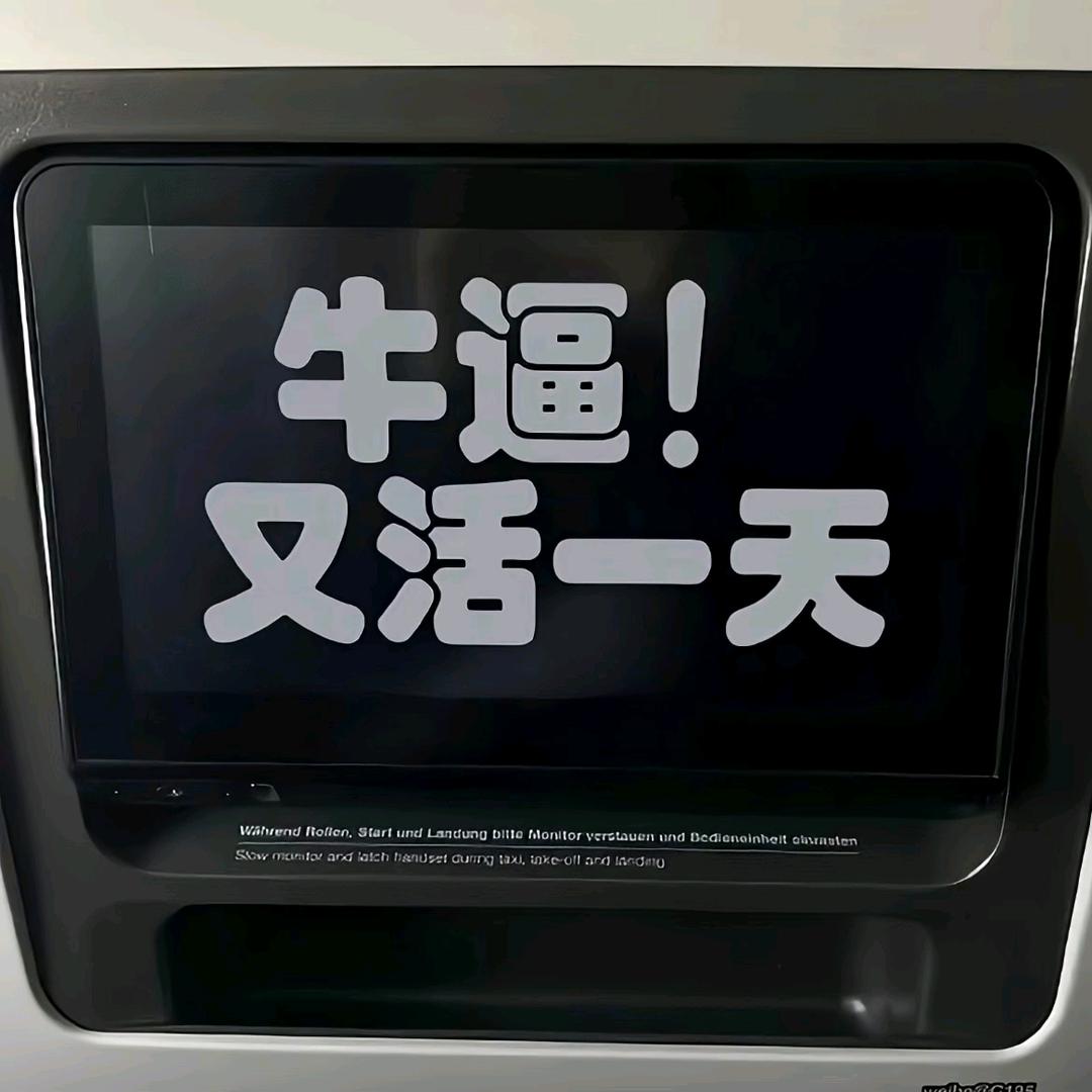 小鱼zzz