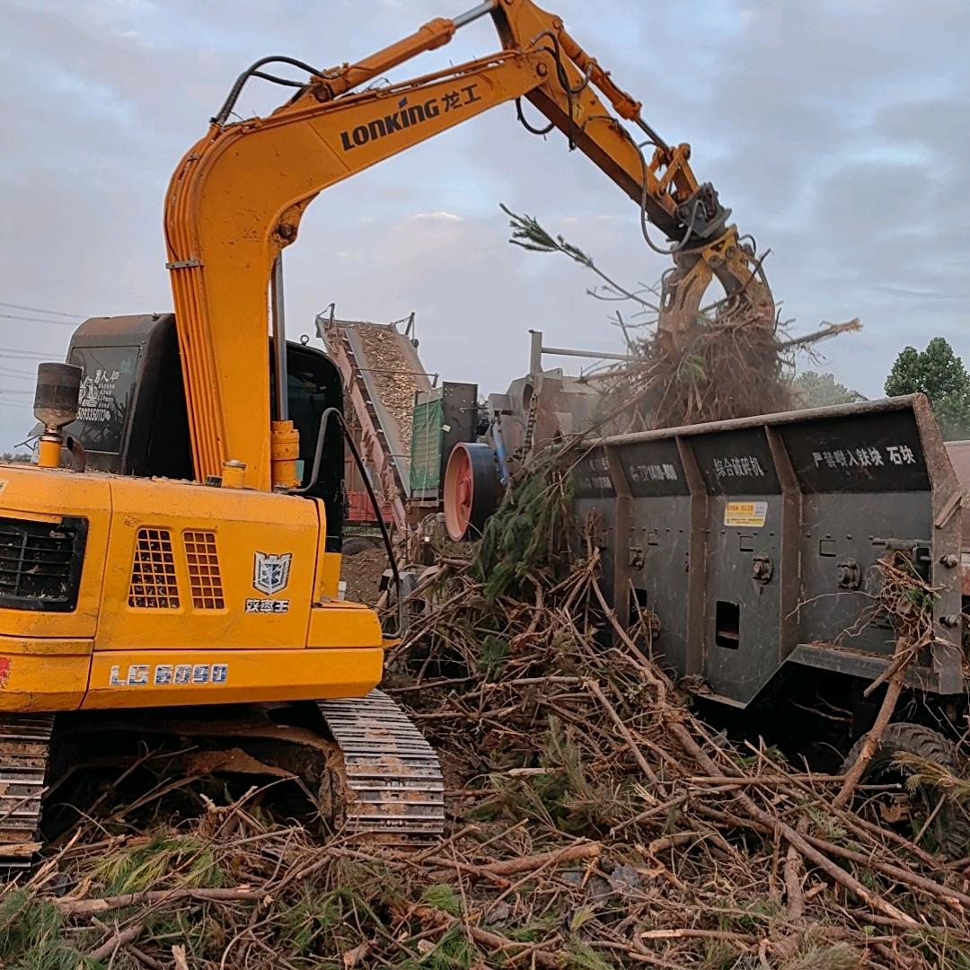 AAA挖树清理地表