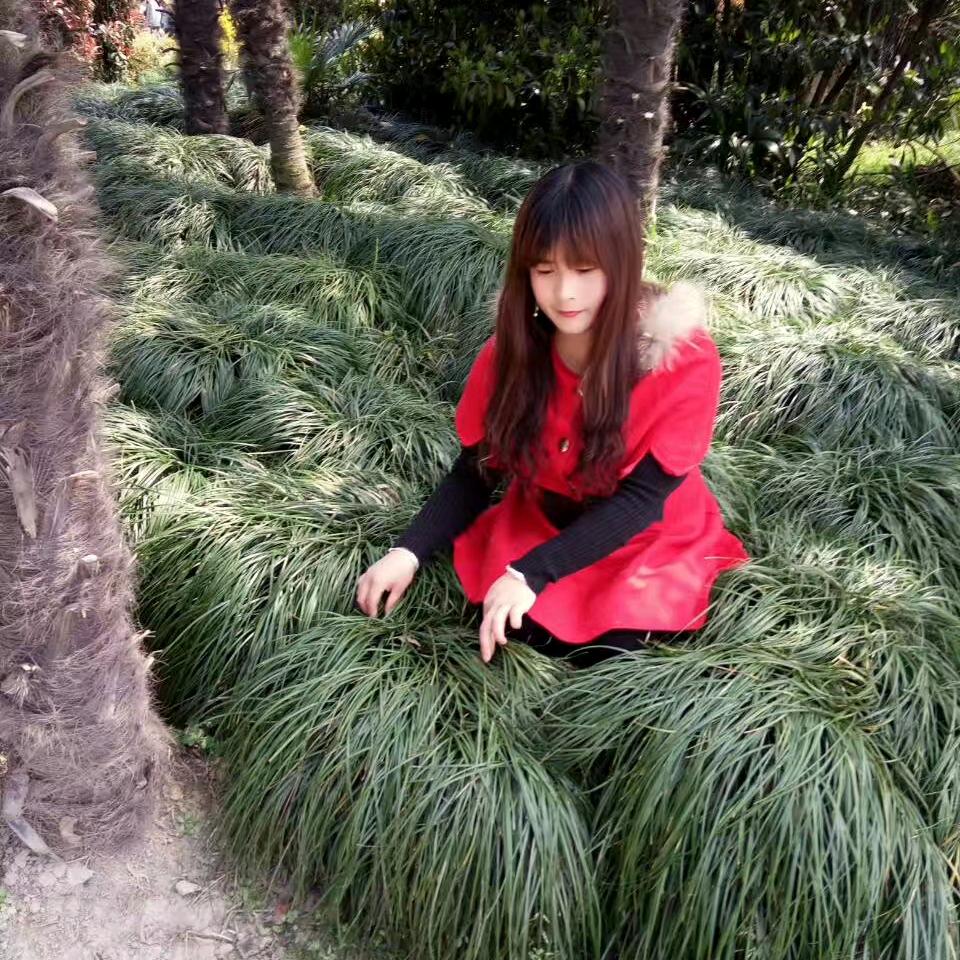 小嘀嗒🔥🔥