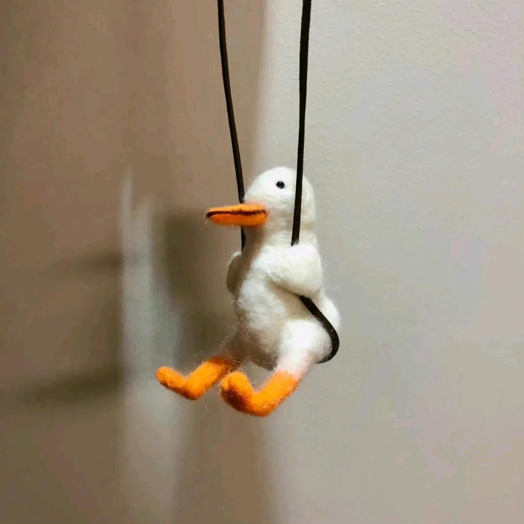 阿尔不自卑