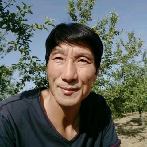 山西万荣果品代办
