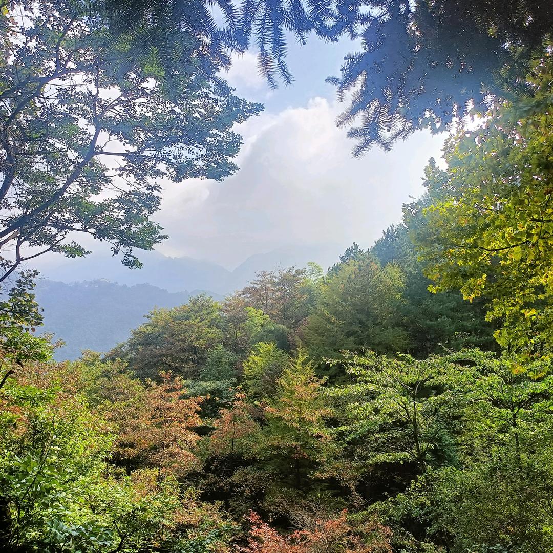 懂得不争万般随缘