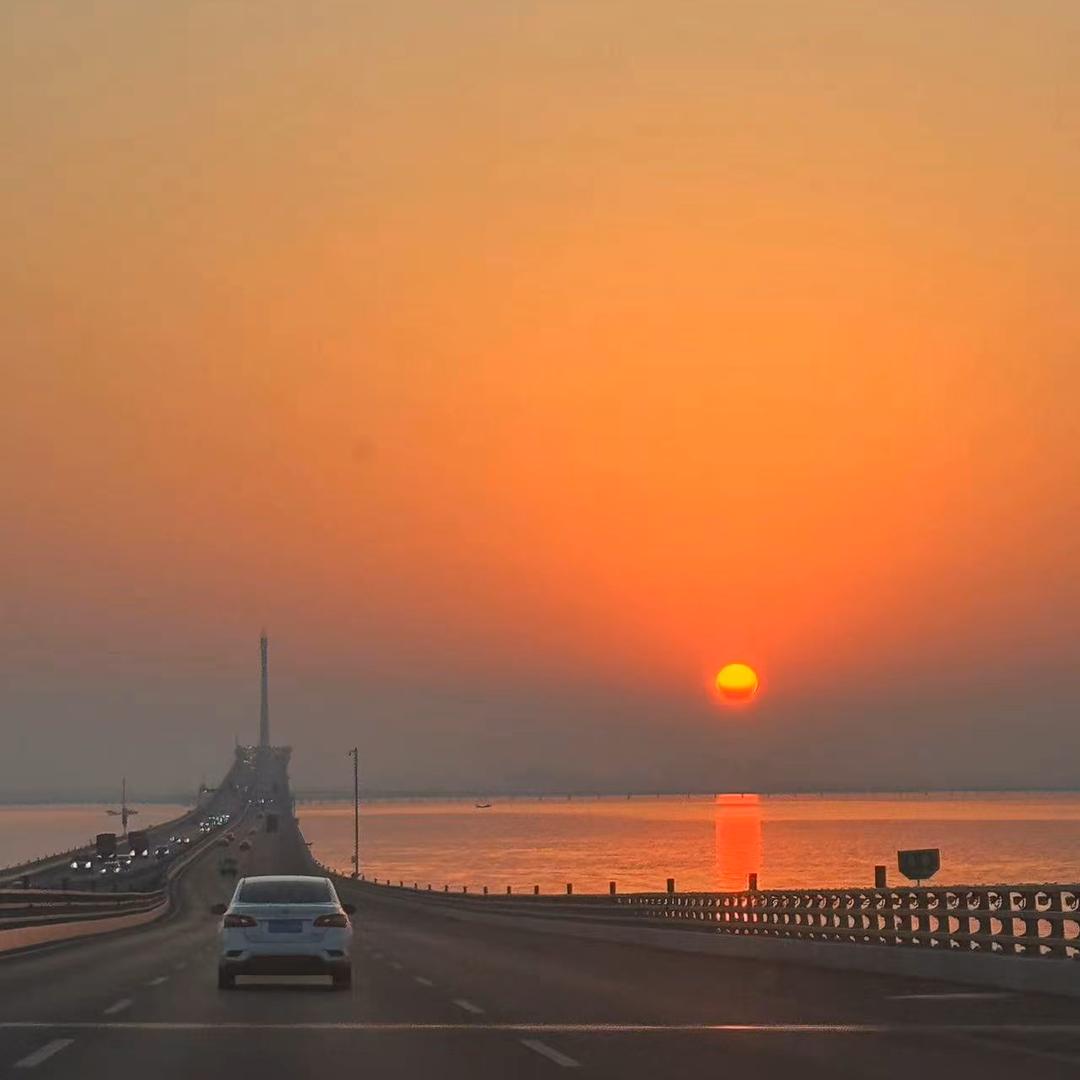 爱是一万公顷的森林