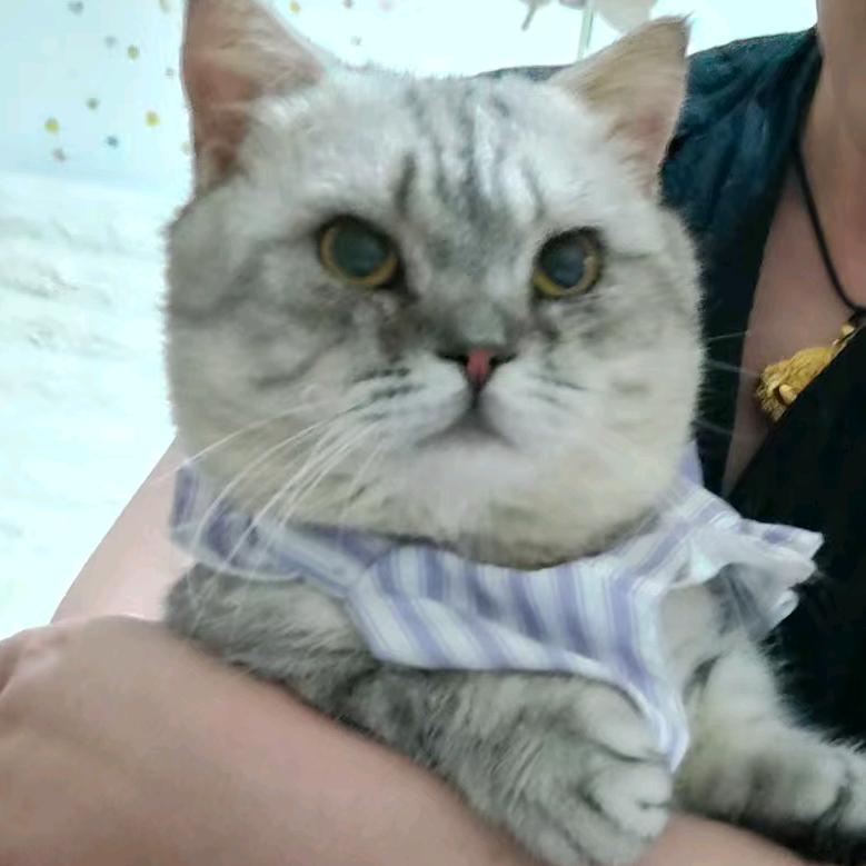 @这里是墩宝宝宝