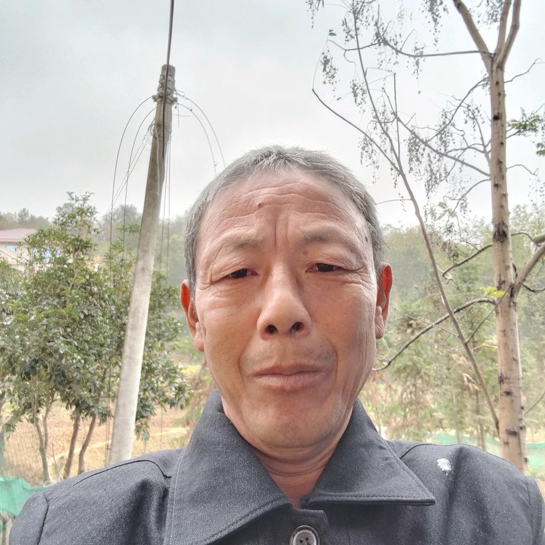 自由人生