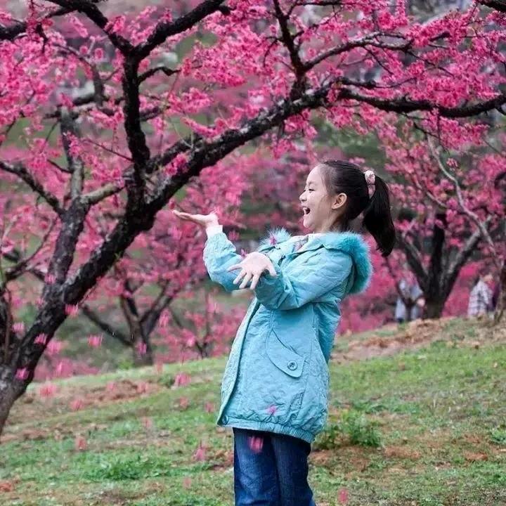 用户8329103589936