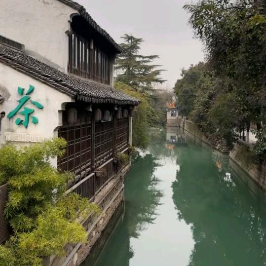 超好奇滴兔宝宝