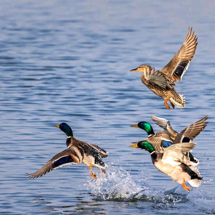 子北邑山画馆艺观